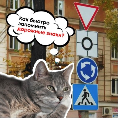 Как быстро запомнить дорожные знаки?
