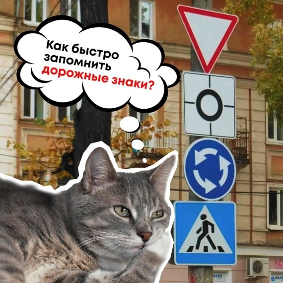 Как быстро запомнить дорожные знаки?