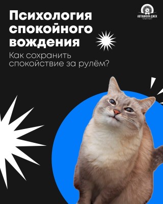 Психология вождения. Как сохранить спокойствие за рулем