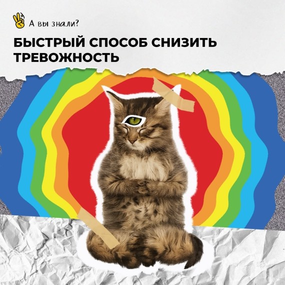 Быстрый способ снизить тревожность