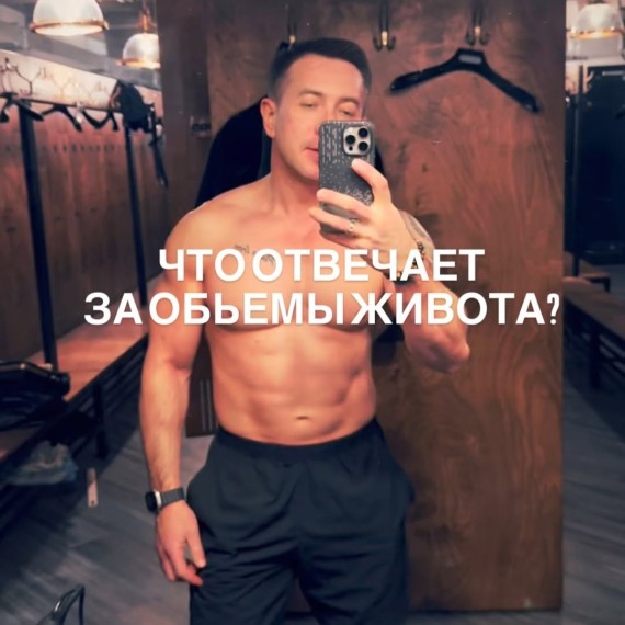 Что отвечает за объемы вашего живота?