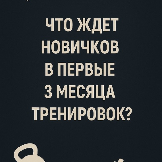 Что ждёт новичков в первые 3 месяца тренировок?