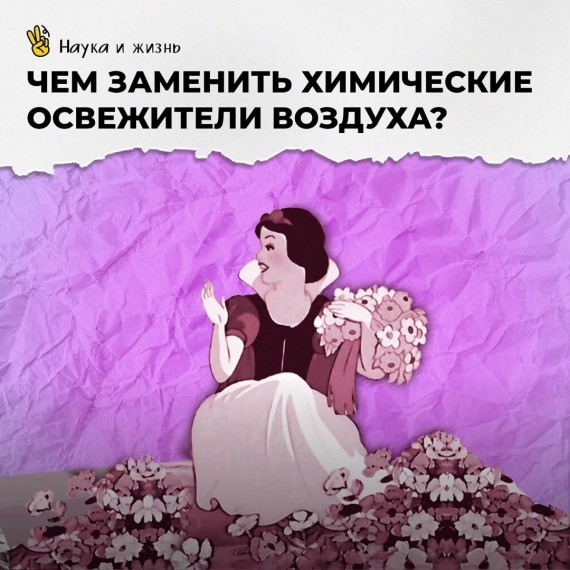 Чем заменить химические освежители воздуха?