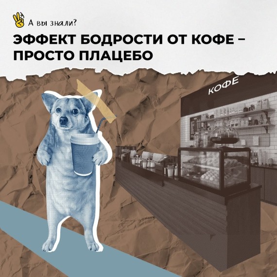 Есть ли эффект бодрости от кофе?