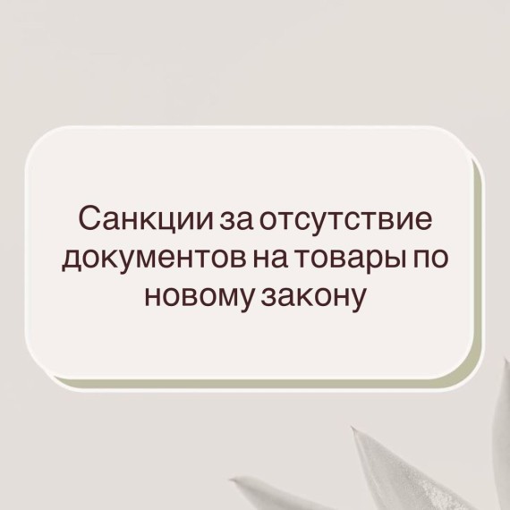 Санкции за отсутствие документов на товары по новому закону