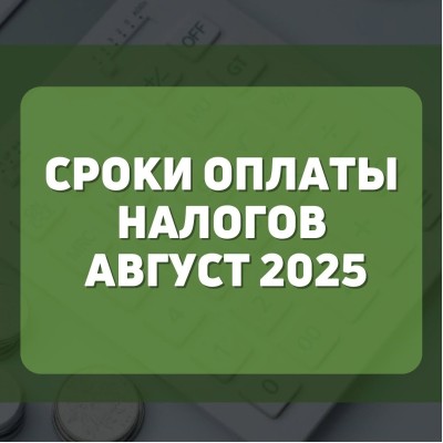 Сроки оплаты налогов август 2025