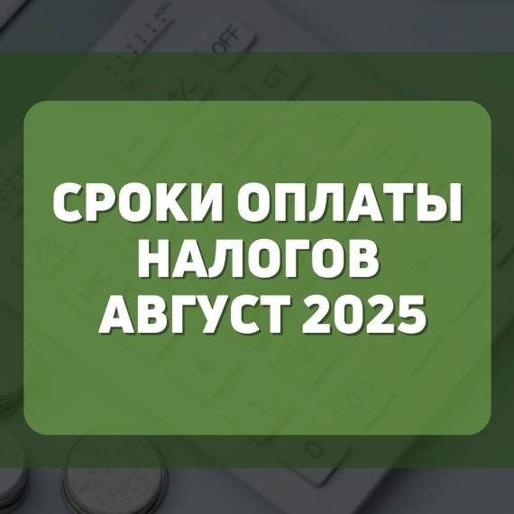 Сроки оплаты налогов август 2025