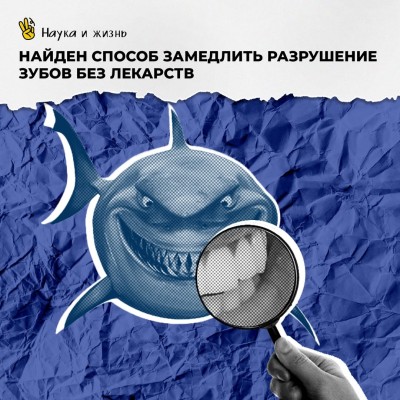 Найден способ замедлить разрушение зубов без лекарств