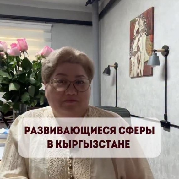 Развивающиеся сферы в Кыргызстане 