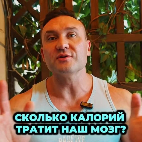 Сколько калорий тратит наш мозг?