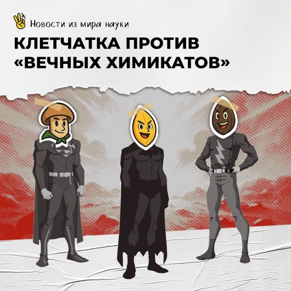 Клетчатка против "вечных химикатов"