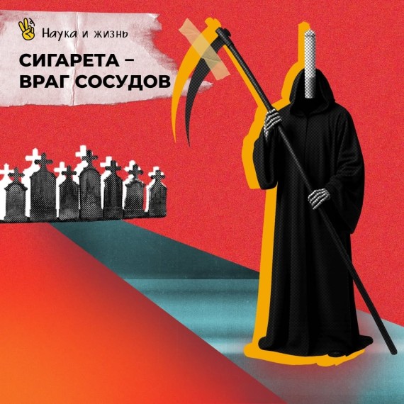 Курение может нанести сокрушительный удар по сердечно-сосудистой системе