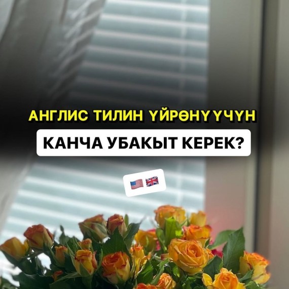 Англис тилин канча убакытта уйронсо болот?