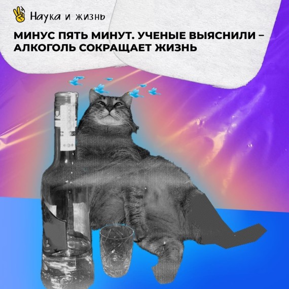 Алкоголь сокращает жизнь. Минус пять минут!
