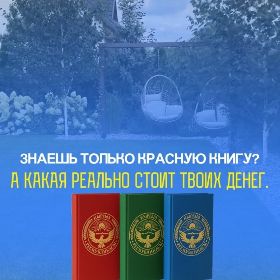 Синие и зеленые книги в Недвижимости КР