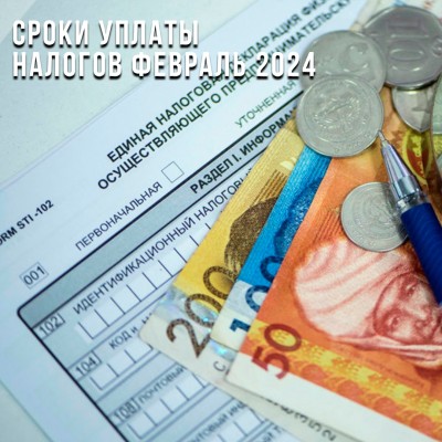 Что грозит за несвоевременную оплату налогов в феврале 2024 года?