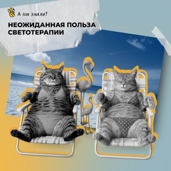 Неожиданная польза светотерапии