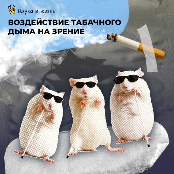 Воздействие табачного дыма на зрение