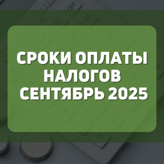 Сроки оплаты налогов на сентябрь 2025