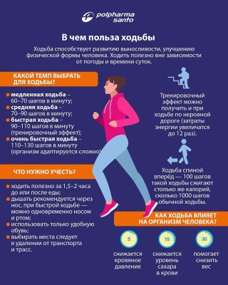 В чем польза ходьбы?