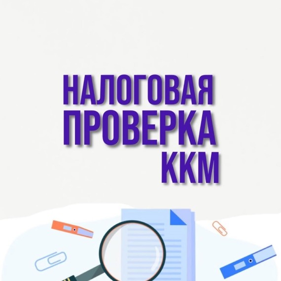 Что имеет право проверять налоговая инспекция?