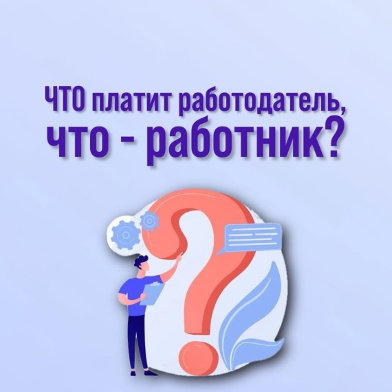 Какие налоги платит работодатель, а какие – работник?