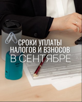 Сроки оплаты налогов и взносов на сентябрь
