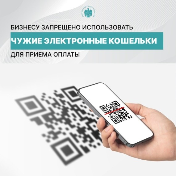 Бизнесу запрещено использовать чужие электронные кошельки для приема оплаты