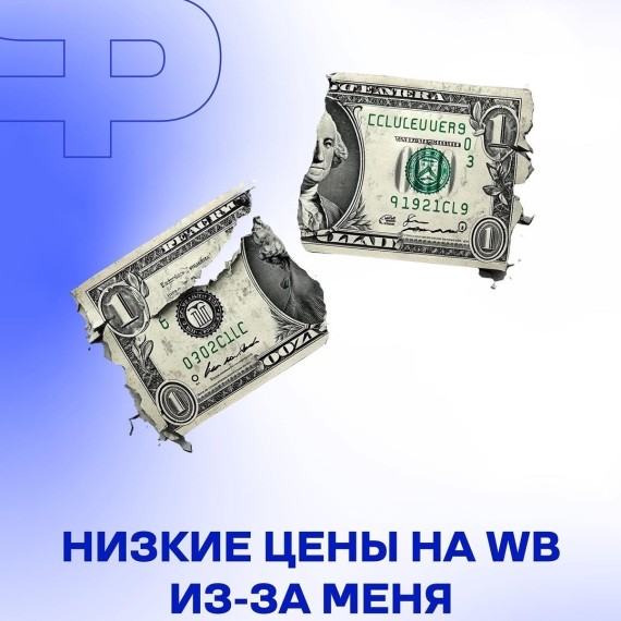 Низкие цены на WB — вина новичков, которые заходят без знаний 
