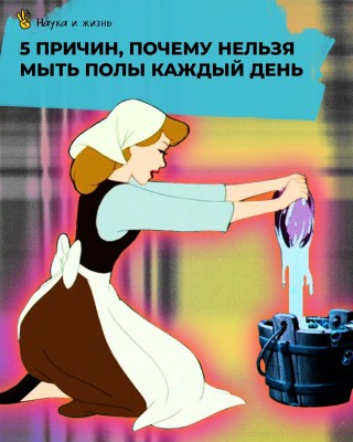 5 причин, почему нельзя мыть полы каждый день