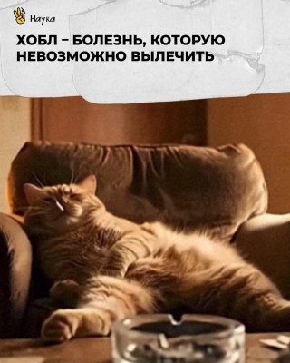 Хобл - болезнь, которую невозможно вылечить