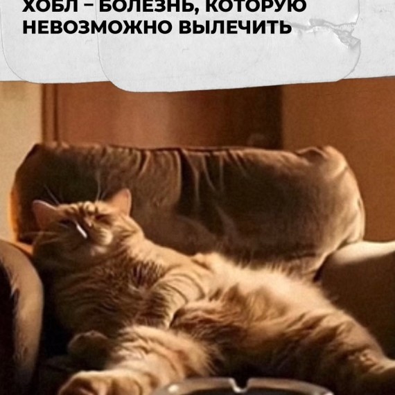 Хобл - болезнь, которую невозможно вылечить