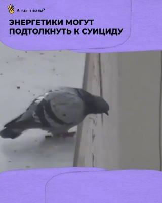 Энергетики могут подтолкнуть к суициду 