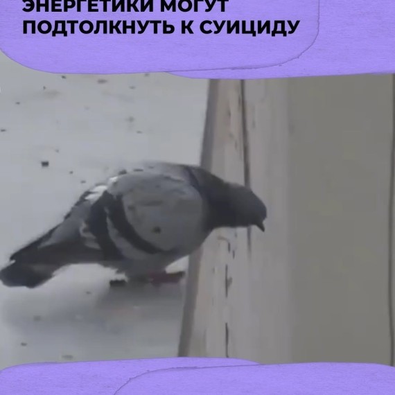 Энергетики могут подтолкнуть к суициду 