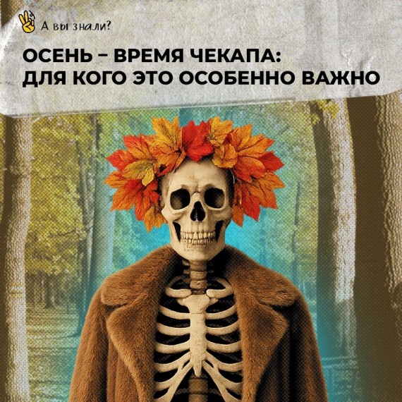 Осень - время чекапа: для кого это особенно важно?