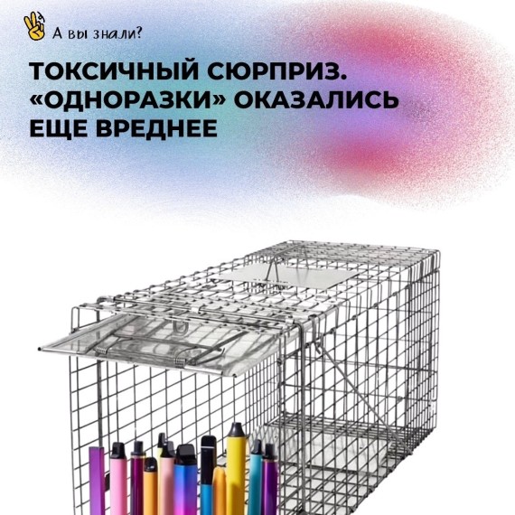 Токсичный сюрприз: одноразки оказались еще вреднее