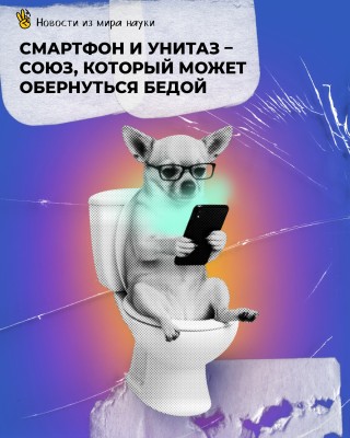 Смартфон и унитаз: союз, который может обернуться бедой