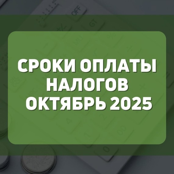 Сроки оплаты налогов на октябрь 2025