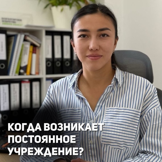 Когда возникает постоянное учреждение?