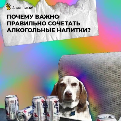 Почему важно правильно сочетать алкогольные напитки?