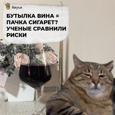Бутылка вина = пачка сигарет? Ученые сравнили риски