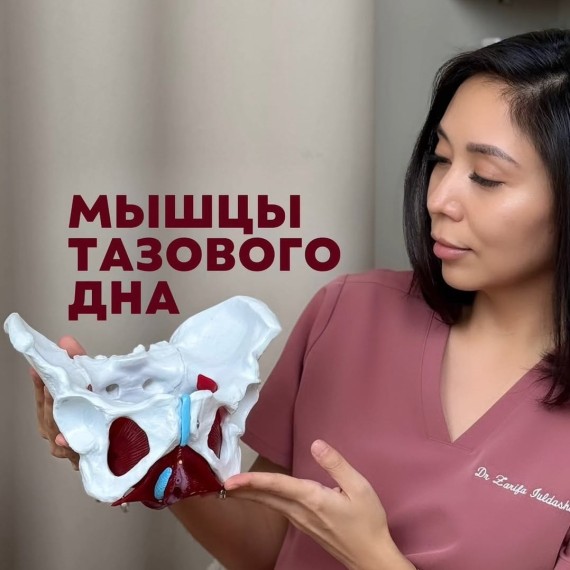 Почему нужно проверять мышцы тазового дна?