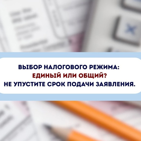 Выбор налогового режима: единый или общий?