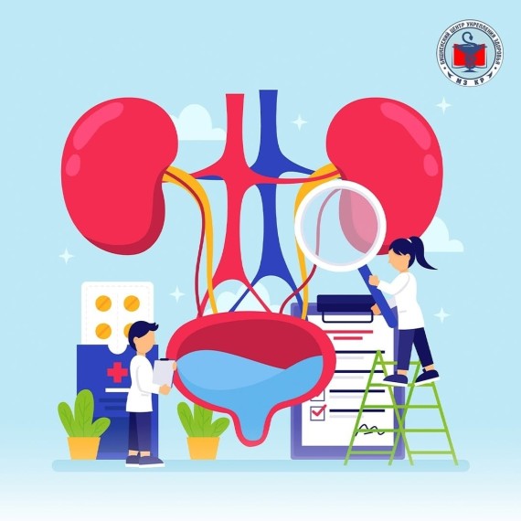 Урологические заболевания: что нужно знать