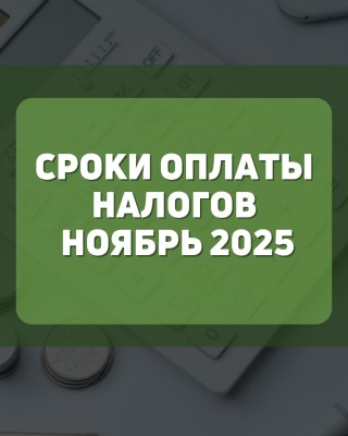 Сроки оплаты налогов ноябрь 2025 года