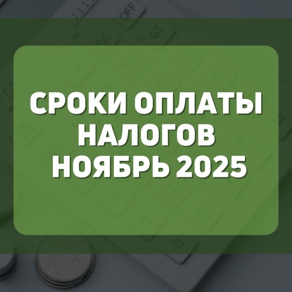 Сроки оплаты налогов ноябрь 2025 года