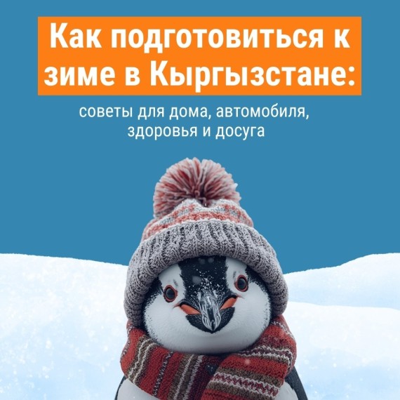 Как подготовиться к зиме в Кыргызстане: советы для дома, автомобиля, здоровья и досуга