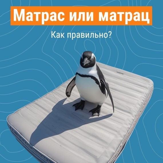 Маленькая орфографическая загадка дня: матрац или матрас? 🧠