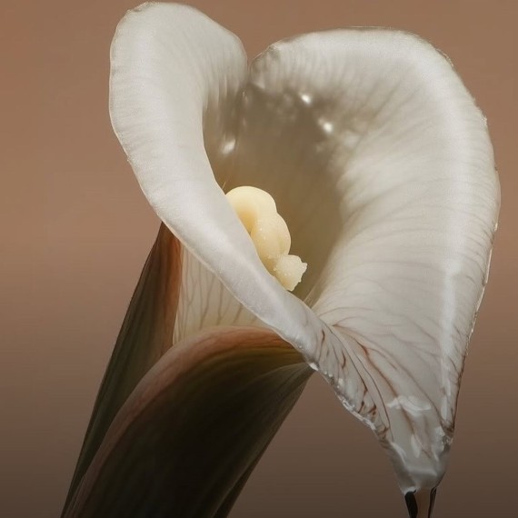 Что означают цвета выделений?