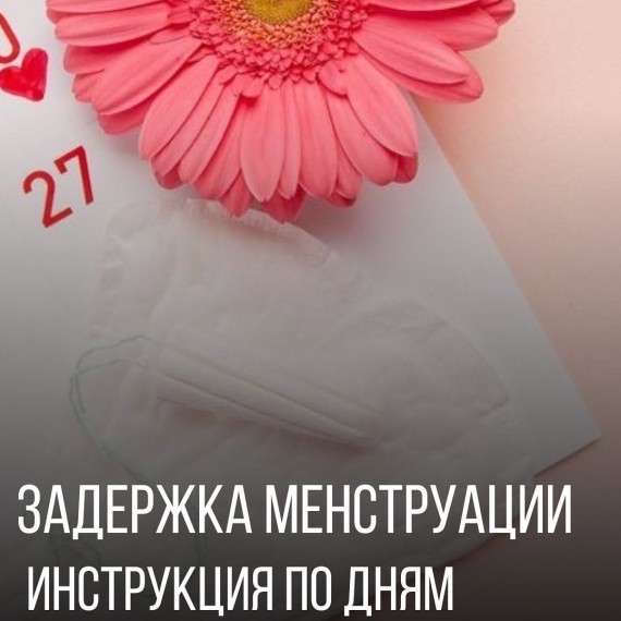 Задержка менструации. Инструкция по дням